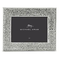 Shagreen Frame