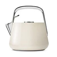 Stainless Steel Tea Kettle