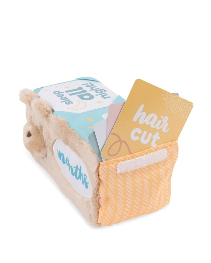 Baby GUND Milestones and Moments Soft Blocks, Plush Photo Prop Sensory Toy Blocks - Ages 0+