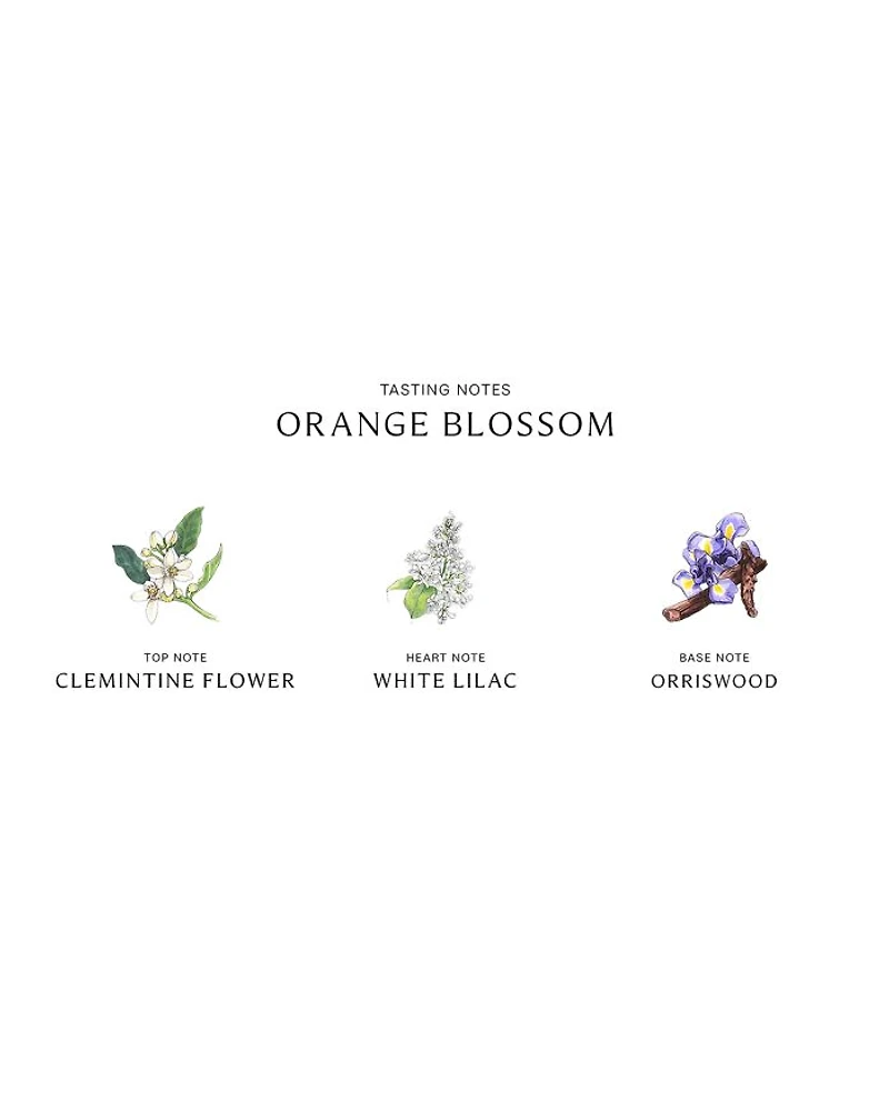 Orange Blossom Diffuser