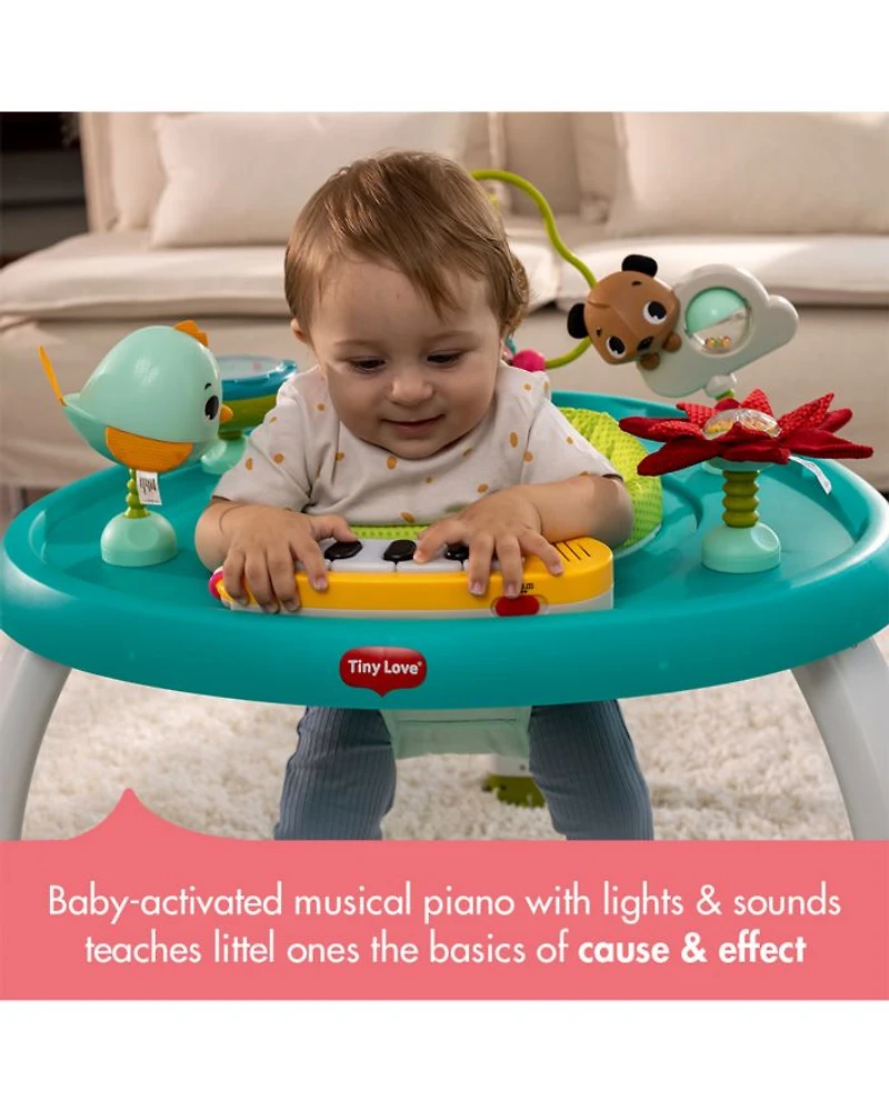 Meadow Days Stationary Activity Center - Ages 6 months+