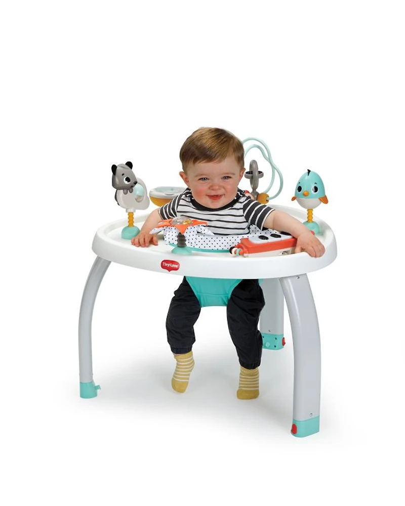 Magical Tales Stationary Activity Center - Ages 6 months+