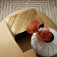 Pompano Vases, Set of 3