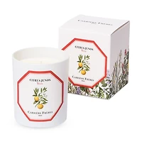 Yuzu Scented Candle, 6.5 oz.