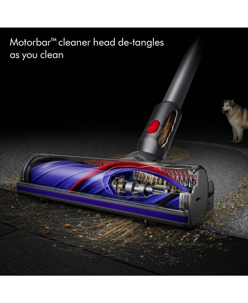 V8 Cordless Vacuum