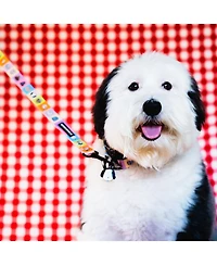Happy Walking Dog Leash