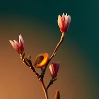 Vra Vra Vroom Eau de Parfum 3.4 oz.