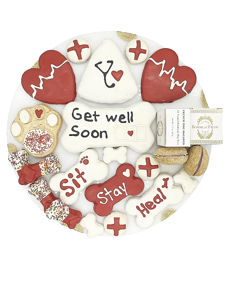 Bonne et Filou Get Well Soon Themed Dog Treats Gift Box