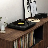 Wireless Turntable