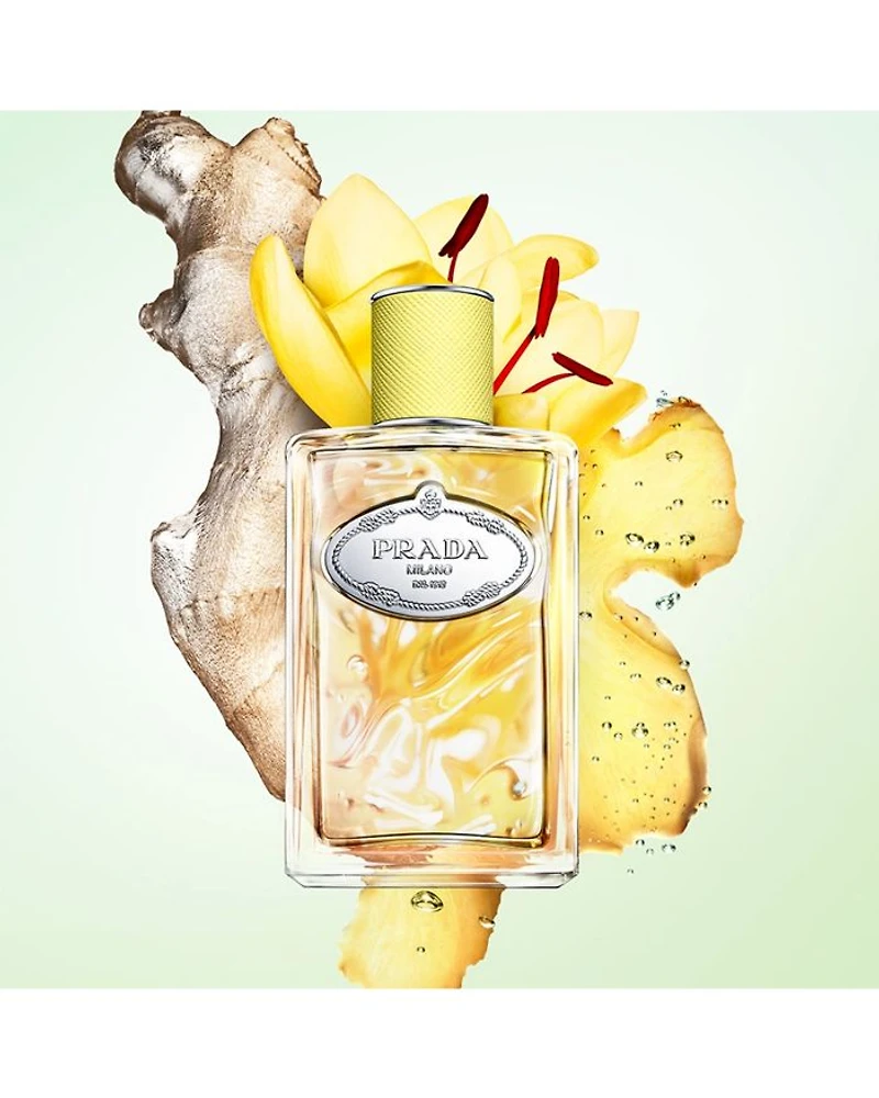 Infusion Gingembre Eau de Parfum 3.3 oz.