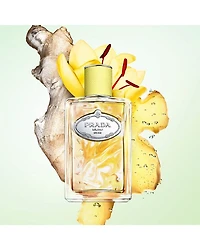 Infusion Gingembre Eau de Parfum 3.3 oz.