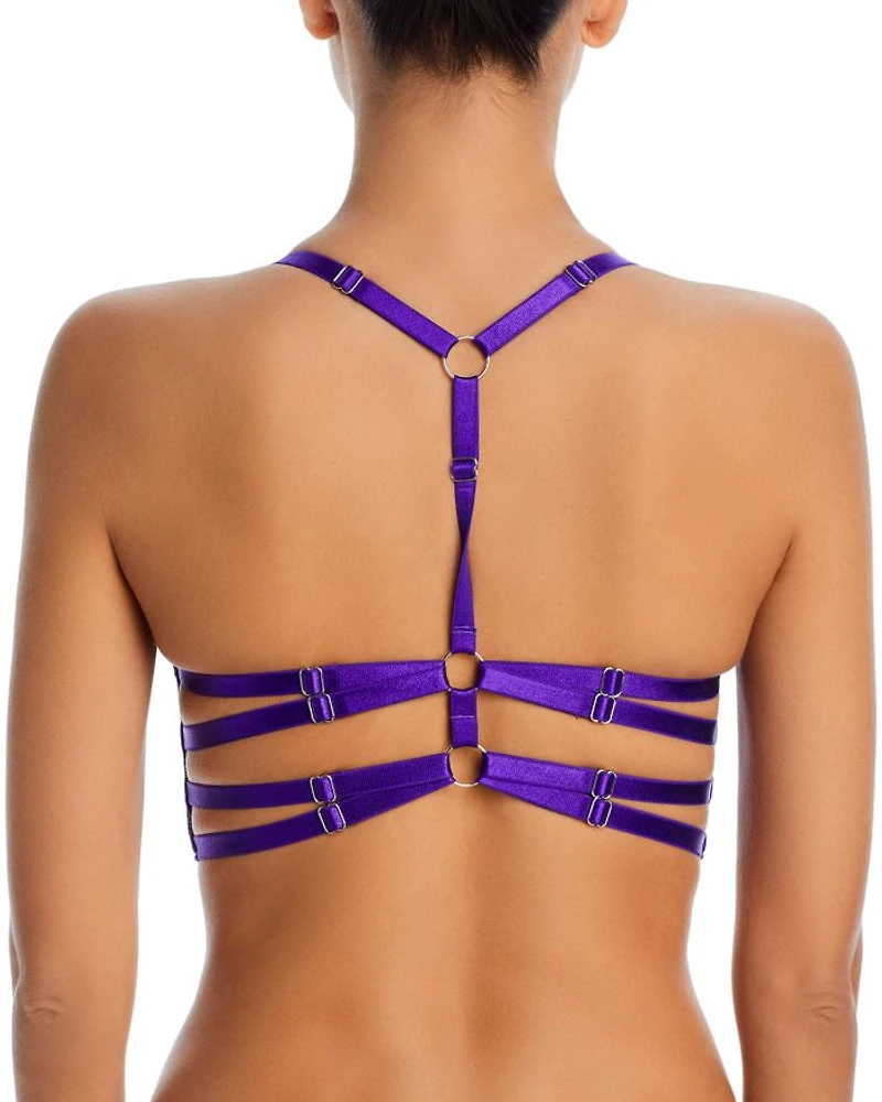 Dryad Embroidered Mesh Underwire Bra