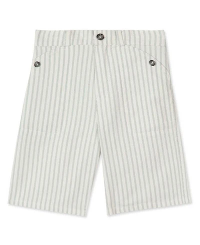 Boys' Sea Green Striped Shorts - Little Kid