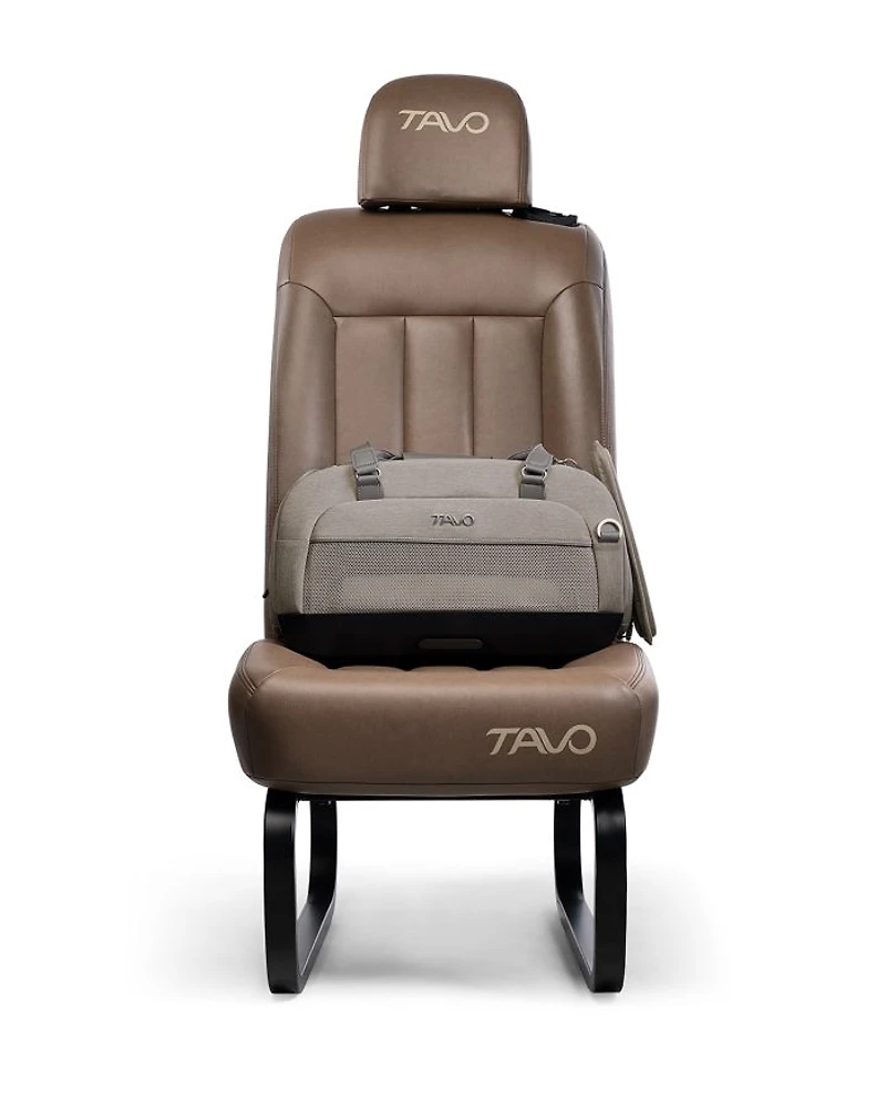 Dupree II Airline Carry-on Pet Car Seat