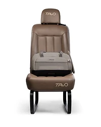 Dupree II Airline Carry-on Pet Car Seat