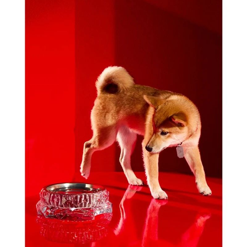 Louxor Large Pet Bowl