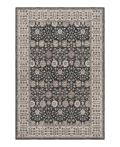 Dalyn Luxury Washable Hatay HY8 Area Rug