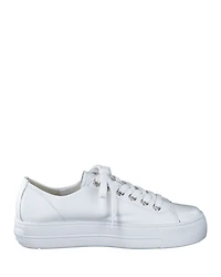 Women's Skylar Lace Up Zip Sneakers