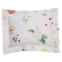 Schlossberg Zinnia Blanc Sham