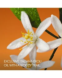 The Alchemist's Garden Fiori di Neroli Eau de Parfum 3.3 oz.