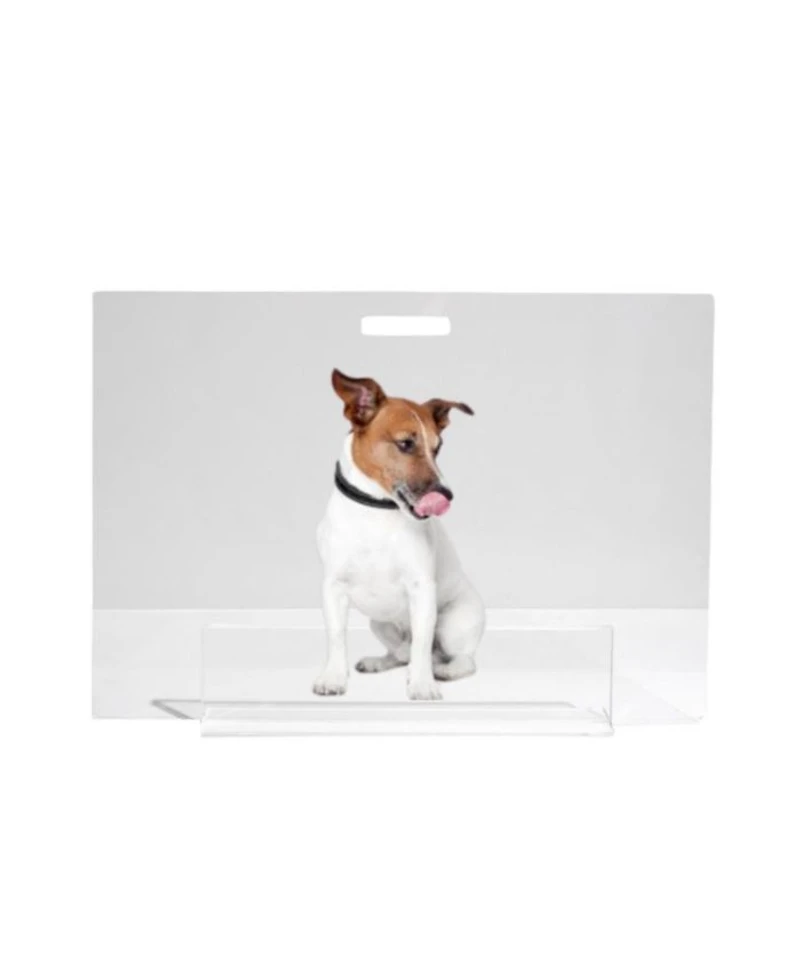 Low Clear Pet Gate Panel