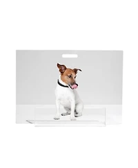 Low Clear Pet Gate Panel