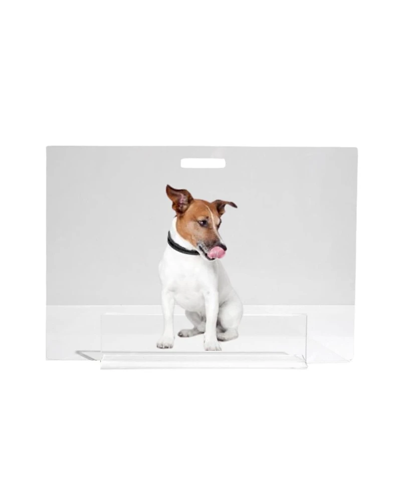 Hiddin Low Clear Pet Gate Panel