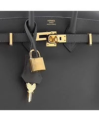 Pre-Owned Hermes Birkin 25 Handbag Grey Swift with Gold Hardware