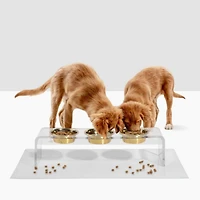 Medium Triple Bowl Pet Feeder, 1 Quart Bowls
