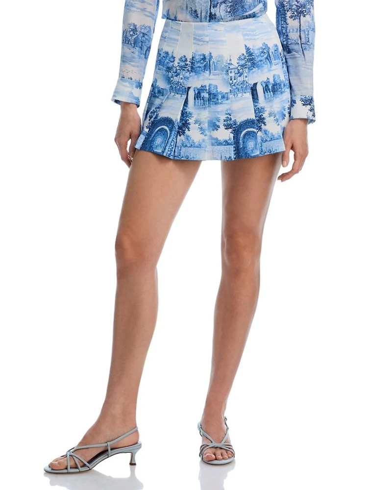 Carter Stitch Pleated Mini Skirt