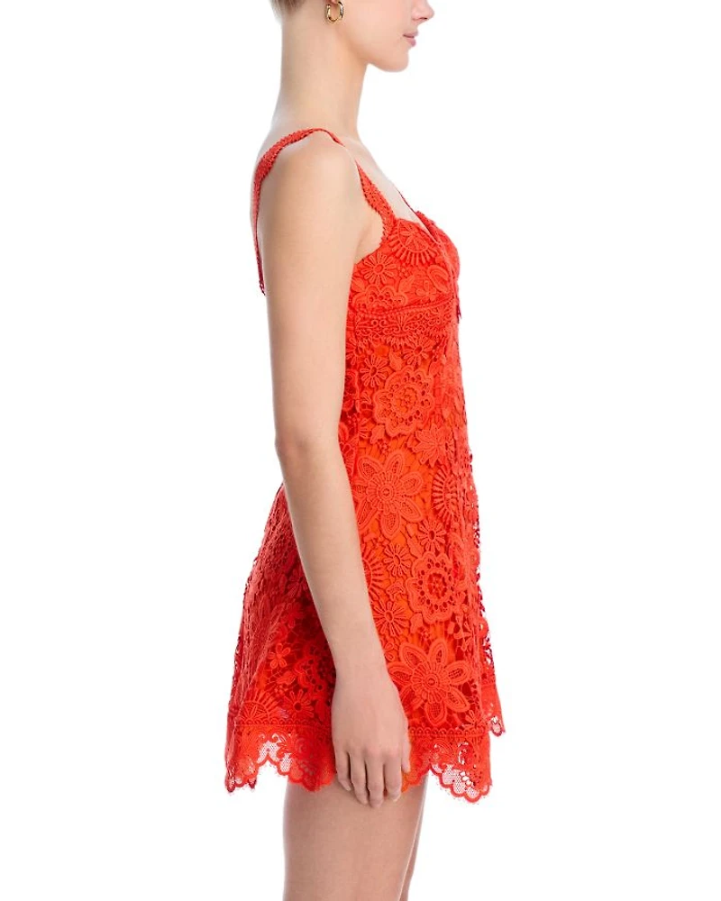Trina Lace Dress