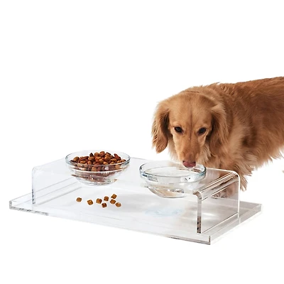 Hiddin Clear Overflow Feeder Tray