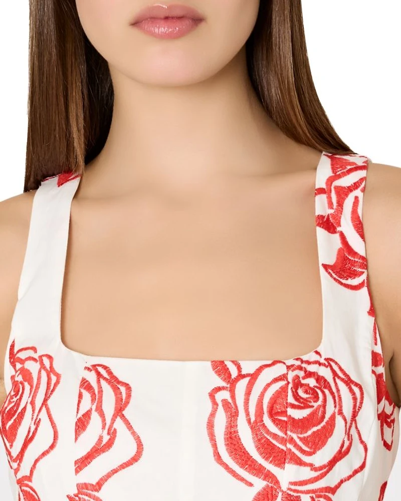 Ariel Rose Embroidered Dress