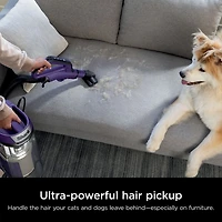 POWERDETECT Upright Bagless Vacuum With Ultimate Cleaning Tools