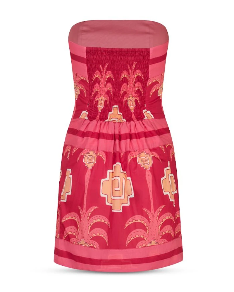Raiz Ritual Mini Dress