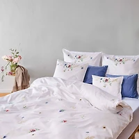 Summerfield Embroidered Sateen Standard Pillowcase