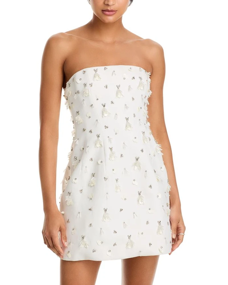 Yasmin Bustier Mini Dress