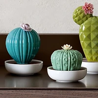Ferocactus Cactus Diffuser - Gardens of Valencia