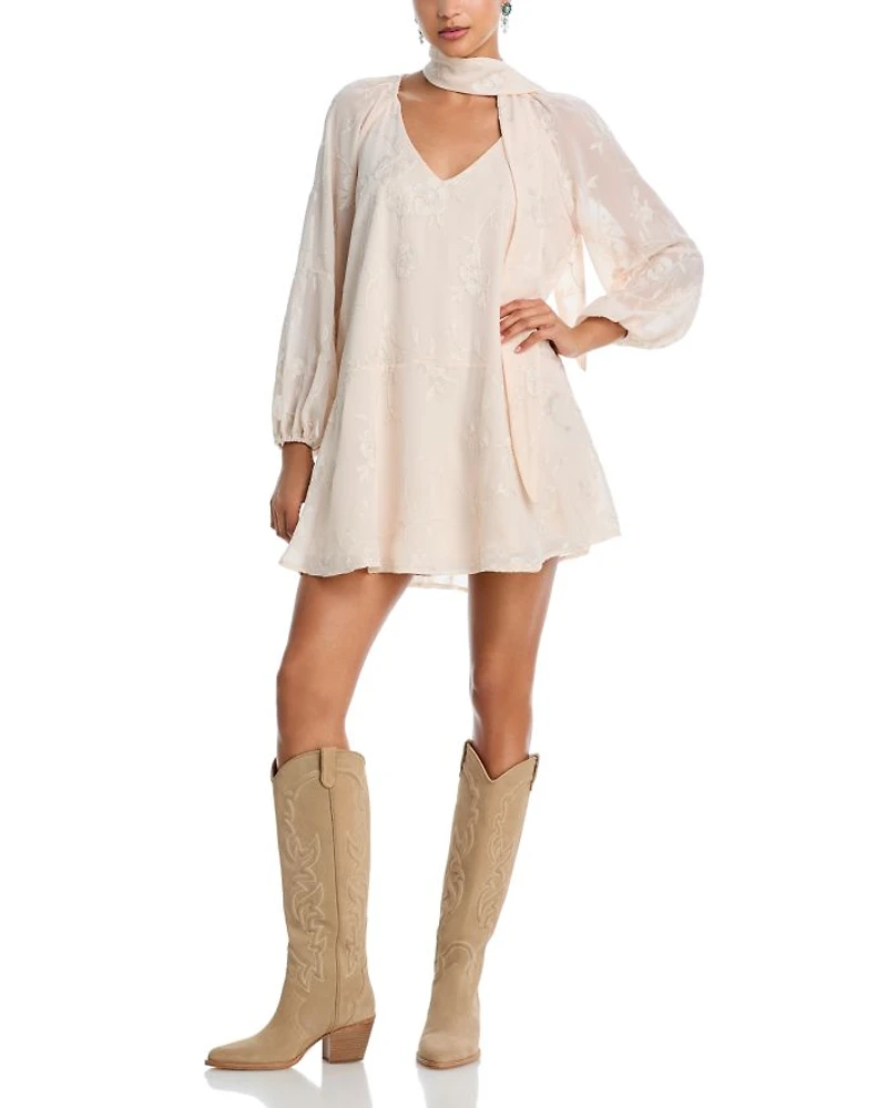 Embroidered Floral Chiffon Mini Dress - Exclusive