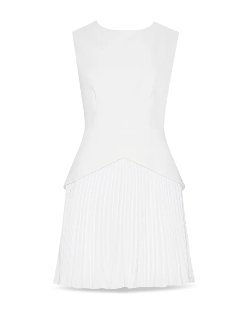 Haddy Mixed Media Pleated Dress
