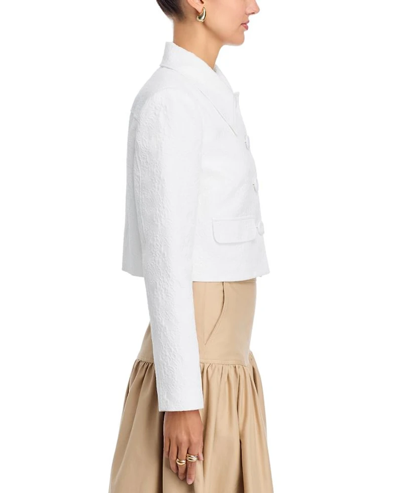 Cropped Collared Jacket