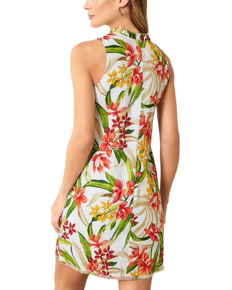 Calli Cove Ruffled Neck Dress