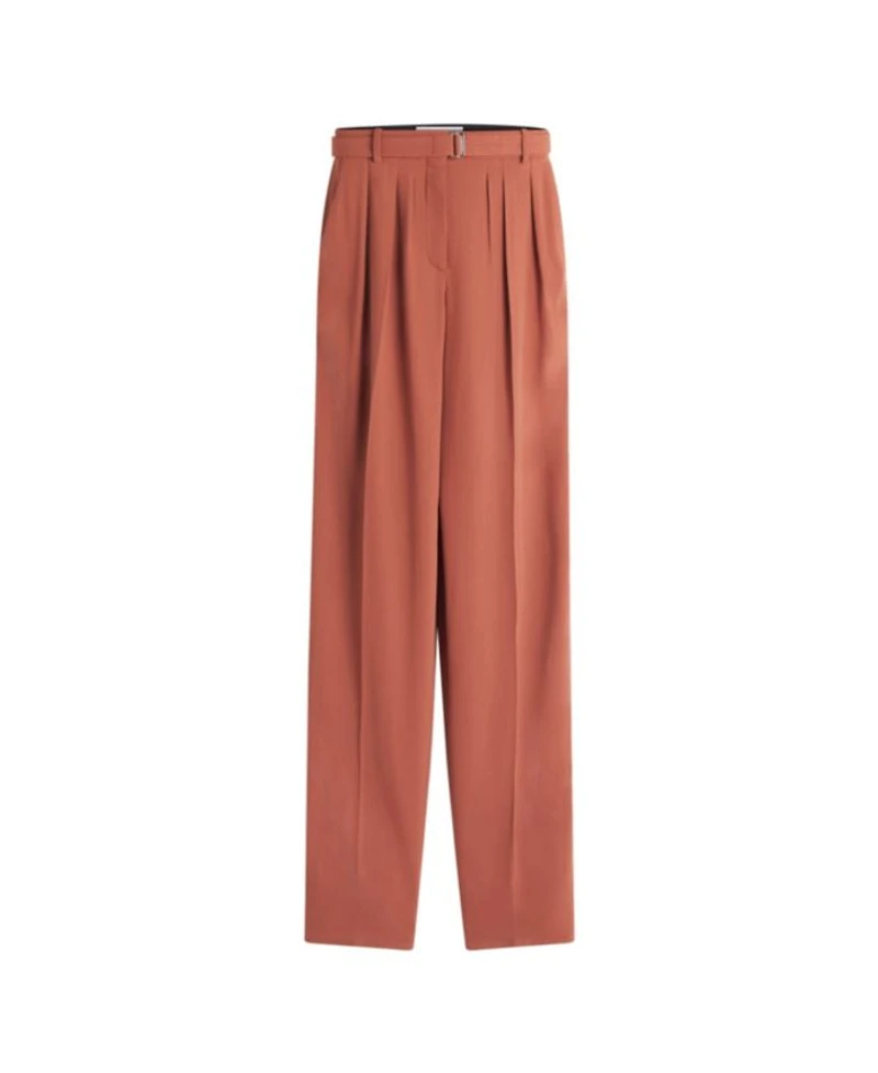 Wool and Viscose like Pants with Darts