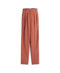 Wool and Viscose like Pants with Darts