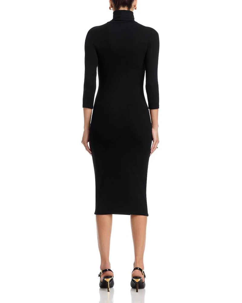 Voletta Three Quarter Sleeve Turtleneck Dress