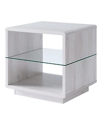 Furniture of America Erlin 22 Glass Shelf End Table