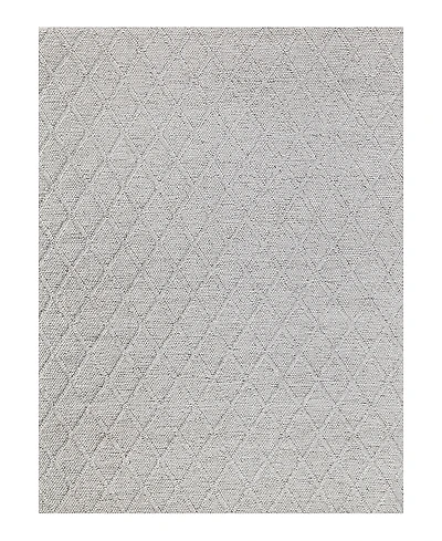 Exquisite Rugs Brentwood Area Rug 2'X3