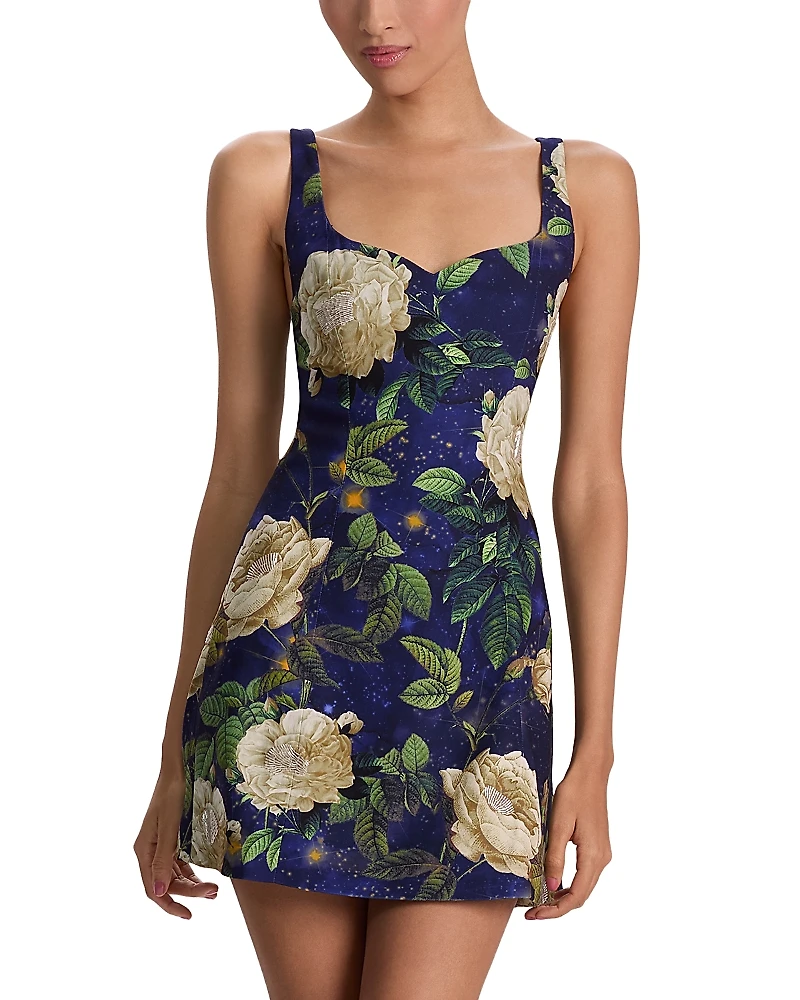 Alice and Olivia Eve Sweetheart Embellished Dress