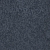 Chateau d'Ax Giada 5 Piece Leather Sectional