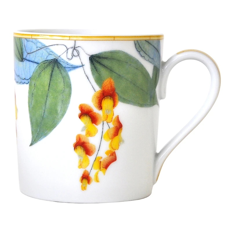 Bernardaud Jardin Indien Mug